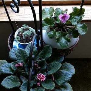 Meet your Posher, Jean